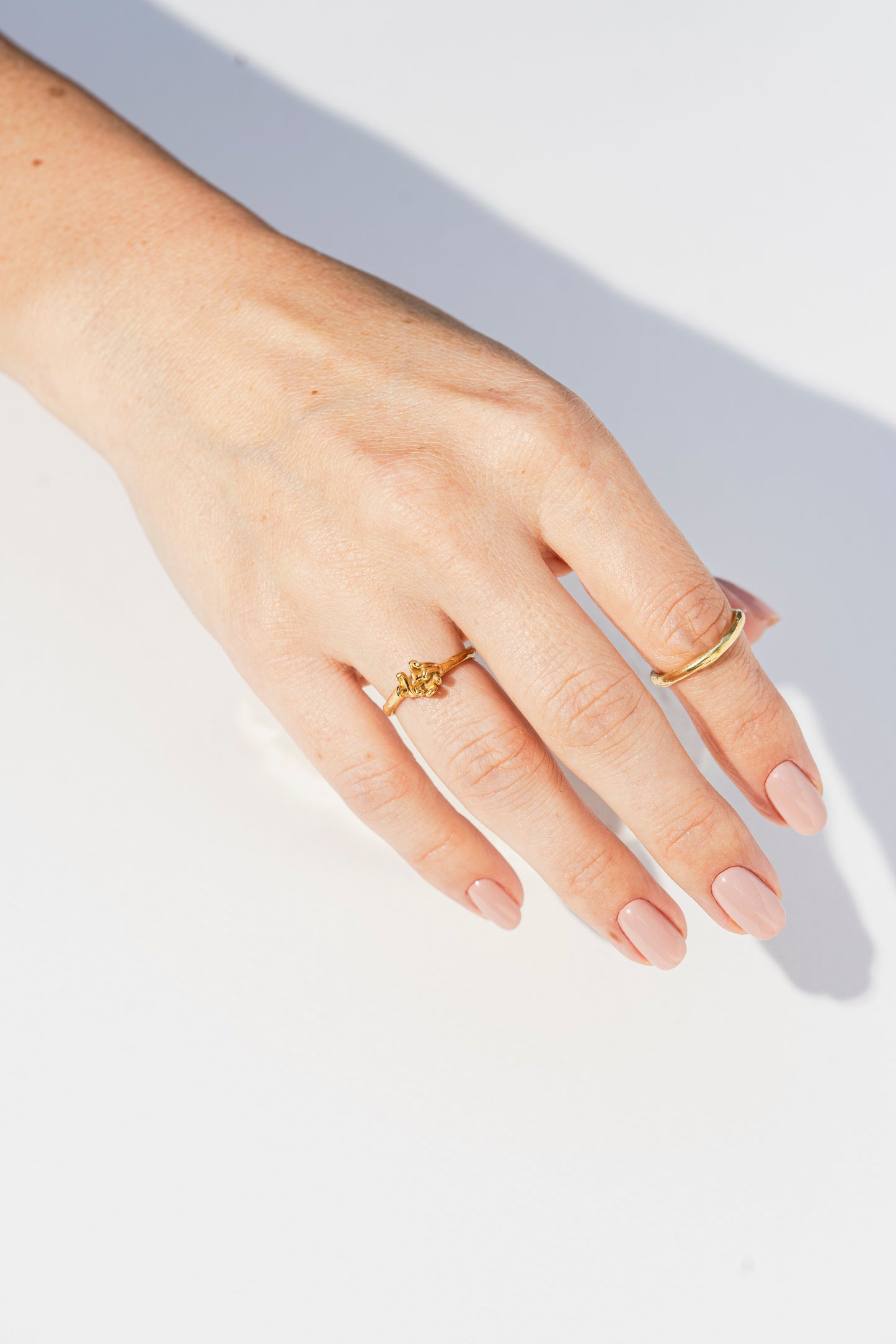 Anillo dorado Herba 3